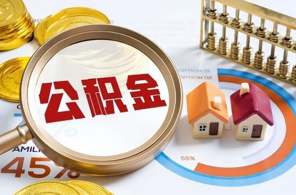 衡阳退休后查不到公积金明细了吗（退休后住房公积金怎么查）